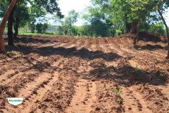 MICROBEBIO-TRIAL-TEST-SOUTH-AFRICA9