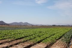 Microbebio-Riverside098-1024x682-3