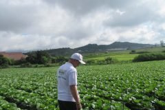 Microbebio-Vietnam-Napal-Cabbage-25-September06-1024x768-1