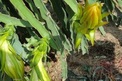 Microbebio_in_the_field_010