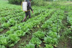 Microbebio_in_the_field_062