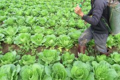 Microbebio_in_the_field_065