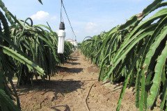 Microbebio_in_the_field_099