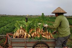 Microbebio_in_the_field_209