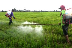 Microbebio_in_the_field_243