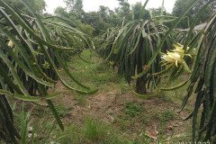 Microbebio_in_the_field_350