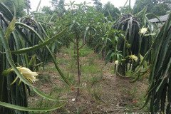 Microbebio_in_the_field_351