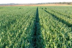 Microbebio_in_the_field_359
