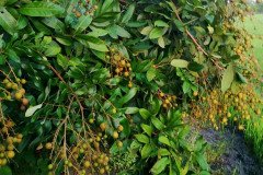Microbebio_in_the_field_475-1