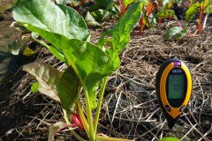 Microbebio_in_the_field_505