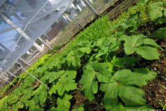 Microbebio_in_the_field_514