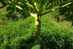 Microbebio_in_the_field_525