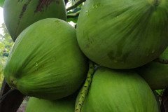Microbebio_in_the_field_556