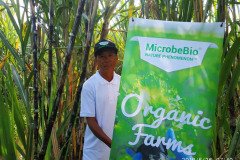 Microbebio_in_the_field_580