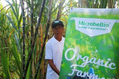 Microbebio_in_the_field_581