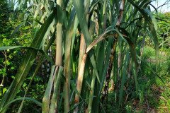 Microbebio_in_the_field_588