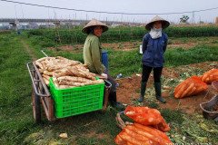 Microbebio_in_the_field_640