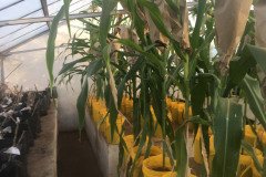 Microbebio_in_the_field_642-1