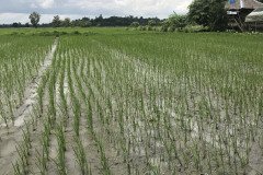 Microbebio_the_field1_033
