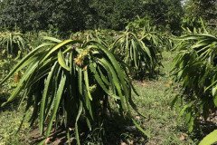 Microbebio_the_field1_038-1