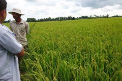 Microbebio_the_field_0054