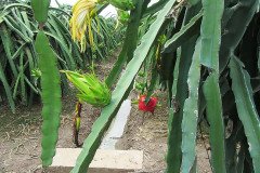 Microbebio_the_field_0203