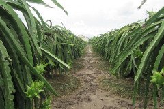 Microbebio_the_field_0219