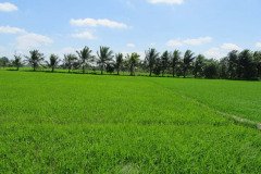 Microbebio_the_field_0247