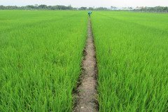 Microbebio_the_field_0267
