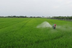 Microbebio_the_field_0289
