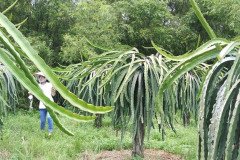 Microbebio_the_field_0665
