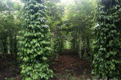 Microbebio_the_field_0777