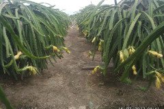 Microbebio_the_field_0802