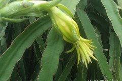 Microbebio_the_field_0804