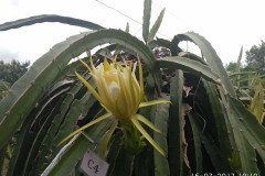 Microbebio_the_field_0817