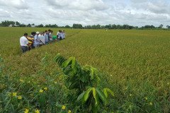 Microbebio_the_field_1138
