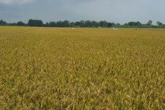 Microbebio_the_field_1165