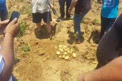 South-Africa-test-sites-on-potatoes-farm2