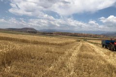 South-Africa-test-sites-on-wheat-farm-06