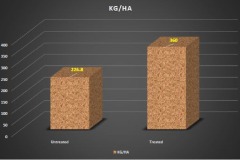 Fertilizer-Microbial-Microbebio11-11