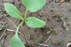 IMG_20181229_090755-e1561502124911