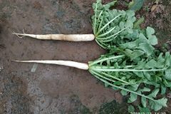 IMG_20190213_142021-e1561501755710