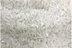 MICROBEBIO-Microbial-Fertilizer-An-Giang-Rice-7