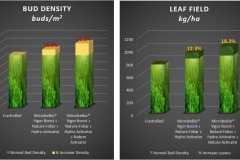 Microbebio-Tea-Trial-Test