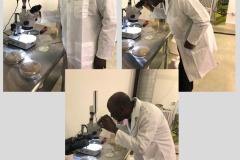 Microbebio-Trial-Test-Houston-Texas-2