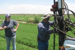 Texas-Alfalfa-Project-22