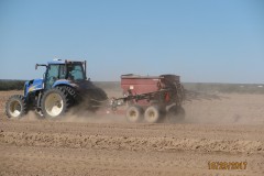 Texas-Alfalfa-Project-6