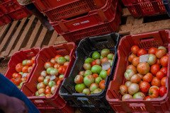 thumbs_1_3b9a1725-3bfe-4d1d-94bf-032218dd3327