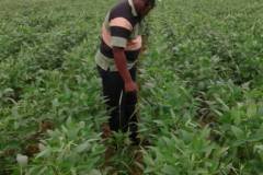 thumbs_1_3fb6f0ac-5a3d-421a-8ec9-4e0981478a9b