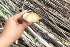 thumbs_1_IMG_0122